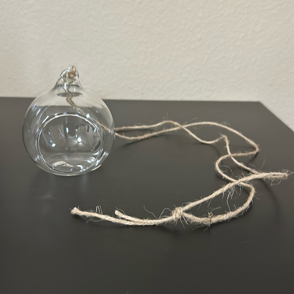 Hanging Glass Planter (Set of 6)
